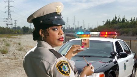 Niecy Nash portrayed the role of 'Raineesha Williams' in the Comedy Central series 'Reno 911'